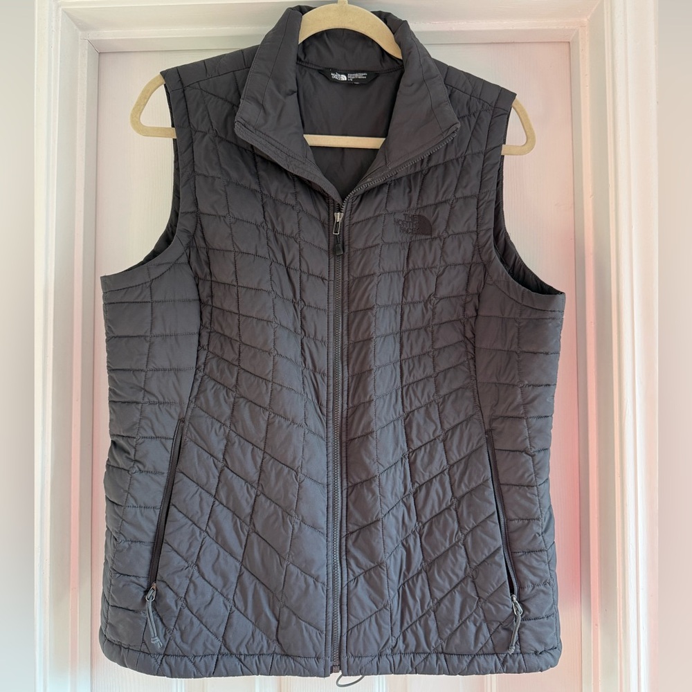 The North Face Black and Tan Jacket